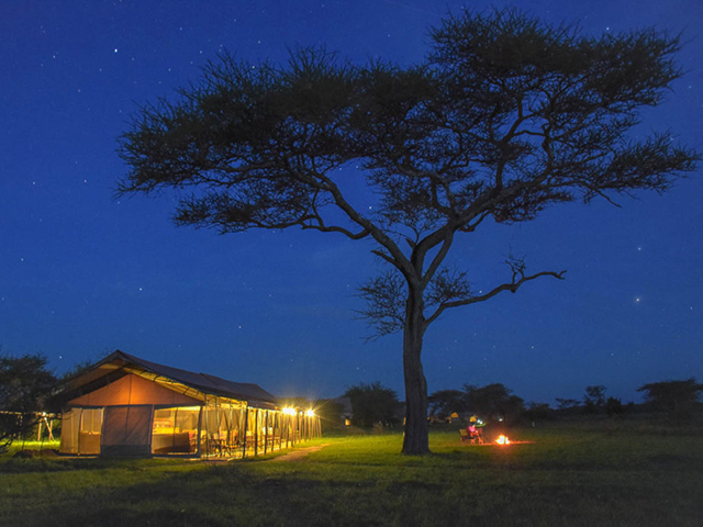 Thorn Tree Camp Serengeti